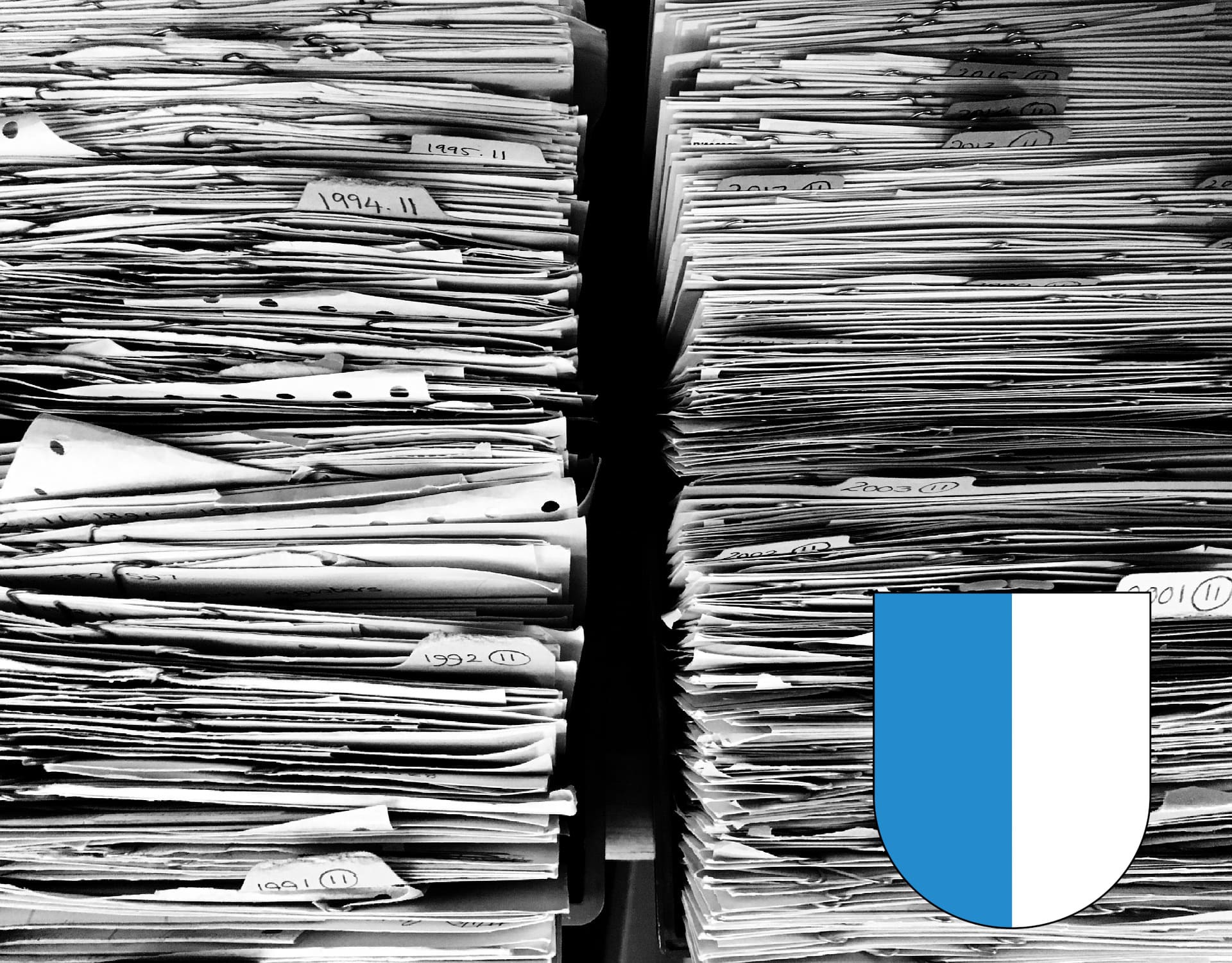 steuererklärung ausfüllen lassen Luzern